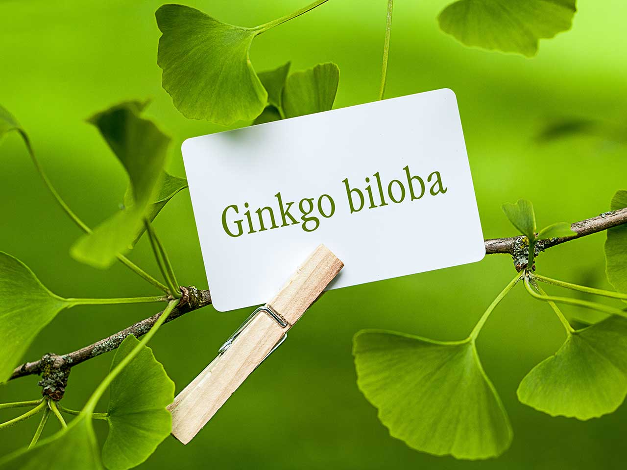 Ginkgo Biloba 2000mg Nature Way