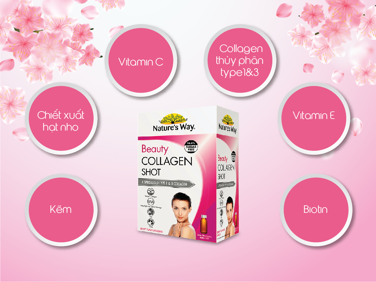 Thành phần của Beautty Collagen Shot