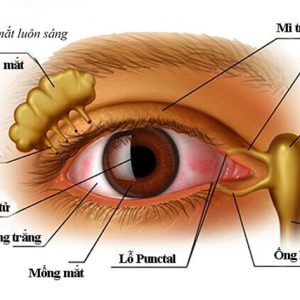 EYE Ocuvite Hộp 30 viên - Giảm triệu chứng mỏi mắt, khô mắt, nhìn mờ...