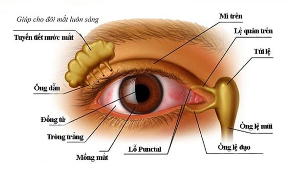 EYE Ocuvite Hộp 30 viên - Giảm triệu chứng mỏi mắt, khô mắt, nhìn mờ...