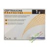 Ceftriaxone 1g