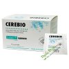 Cerebio