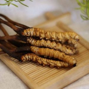  Drlife Cordyceps - Viên uống đông trùng hạ thảo