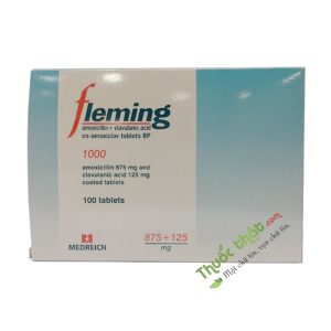 Fleming 1G