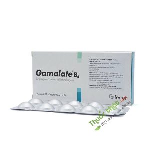 Gamalate B6 Tab