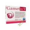 Gametix F