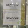 Genocef-300mg