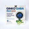 Ginkogaba MaxQ10