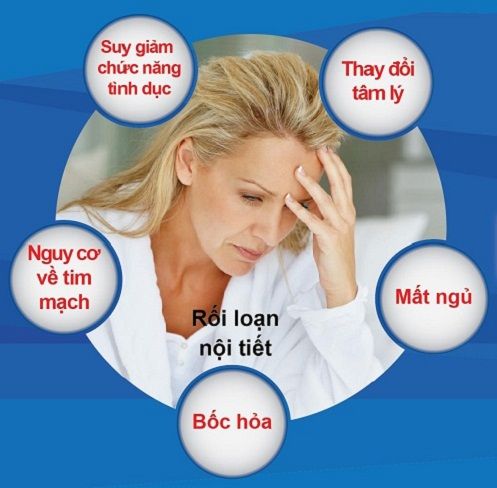 Estro HER - Nội tiết tố nữ