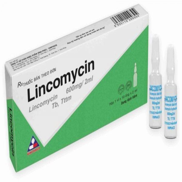 Lincomycin Hộp 10 Ống