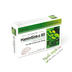 Naminginko 80mg