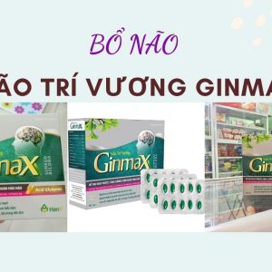 Não Trí Vương Ginmax - Tuần Hoàn Máu Não