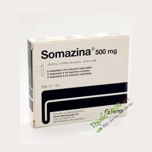 Somazina 500Mg/4Ml