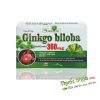 GINKGO BILOBA 360MG