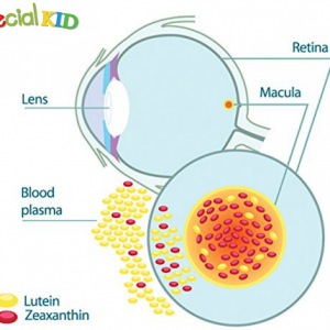 Lutein và Zeaxanthin rất tốt cho mắt của trẻ
