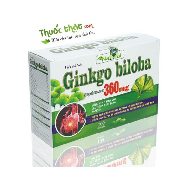 GINKGO BILOBA 360MG