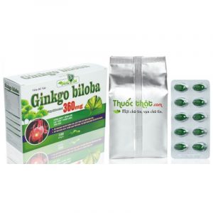 GINKGO BILOBA 360MG