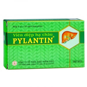 Viên diệp hạ châu Pylantin