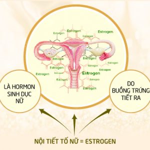 E Fem hộp 60 viên - Cân bằng nội tiết tố nữ