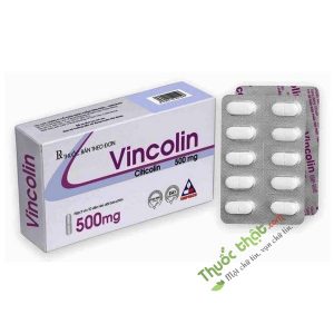 Vincolin