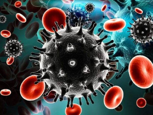 HIV là bệnh gây nên do virus, mang đến hội chứng suy giảm hệ miễn dịch ở người