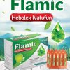 Siro Flamic Bổ Phế Long Đờm