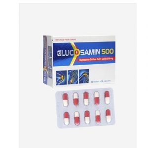 Glucosamin 500